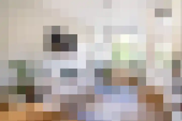 Regentesselaan 54 Rijswijk thumbnail 5