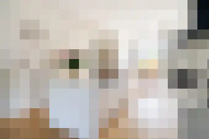 Regentesselaan 54 Rijswijk thumbnail 9