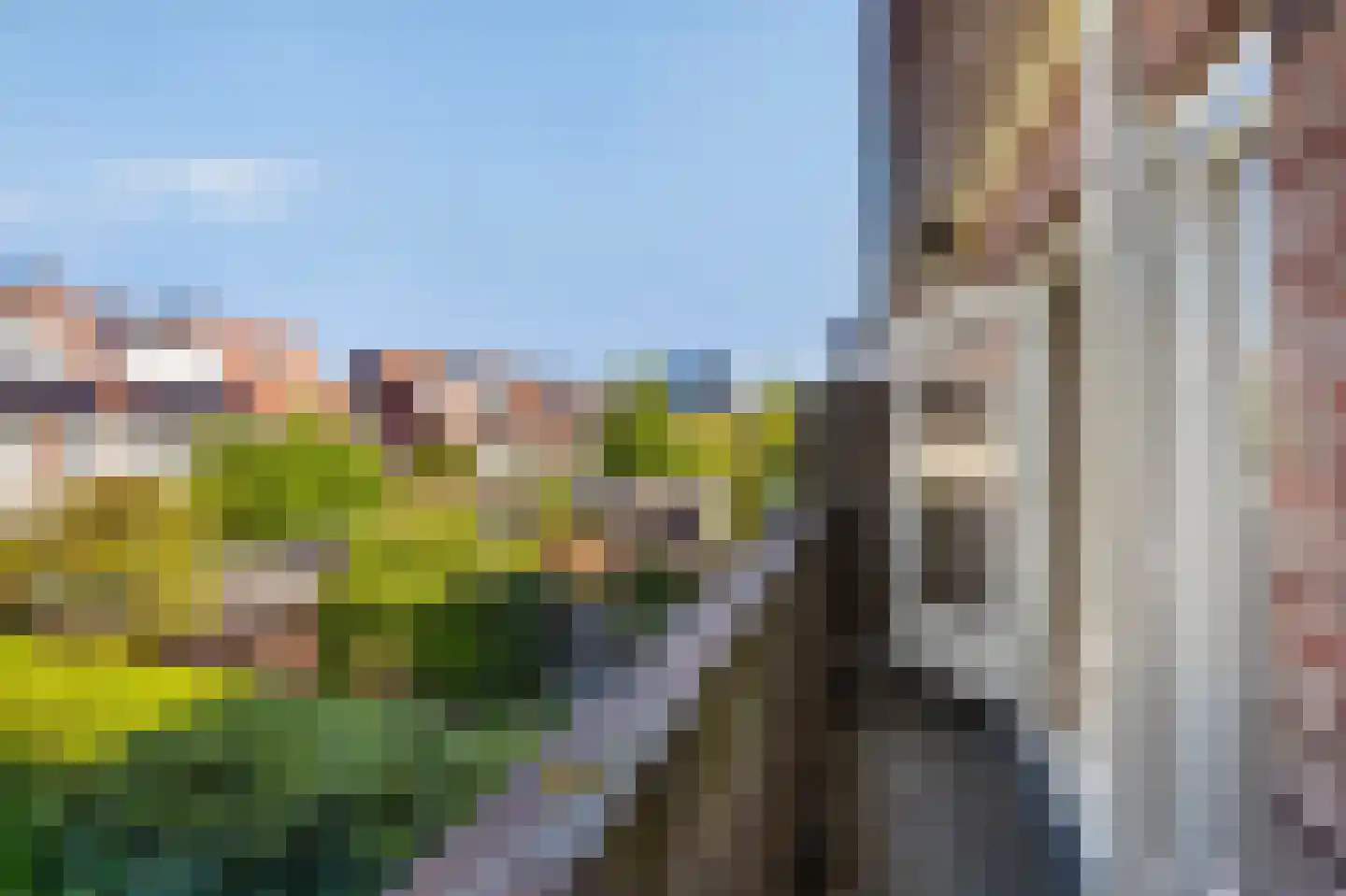 Regentesselaan 55 Utrecht thumbnail 22