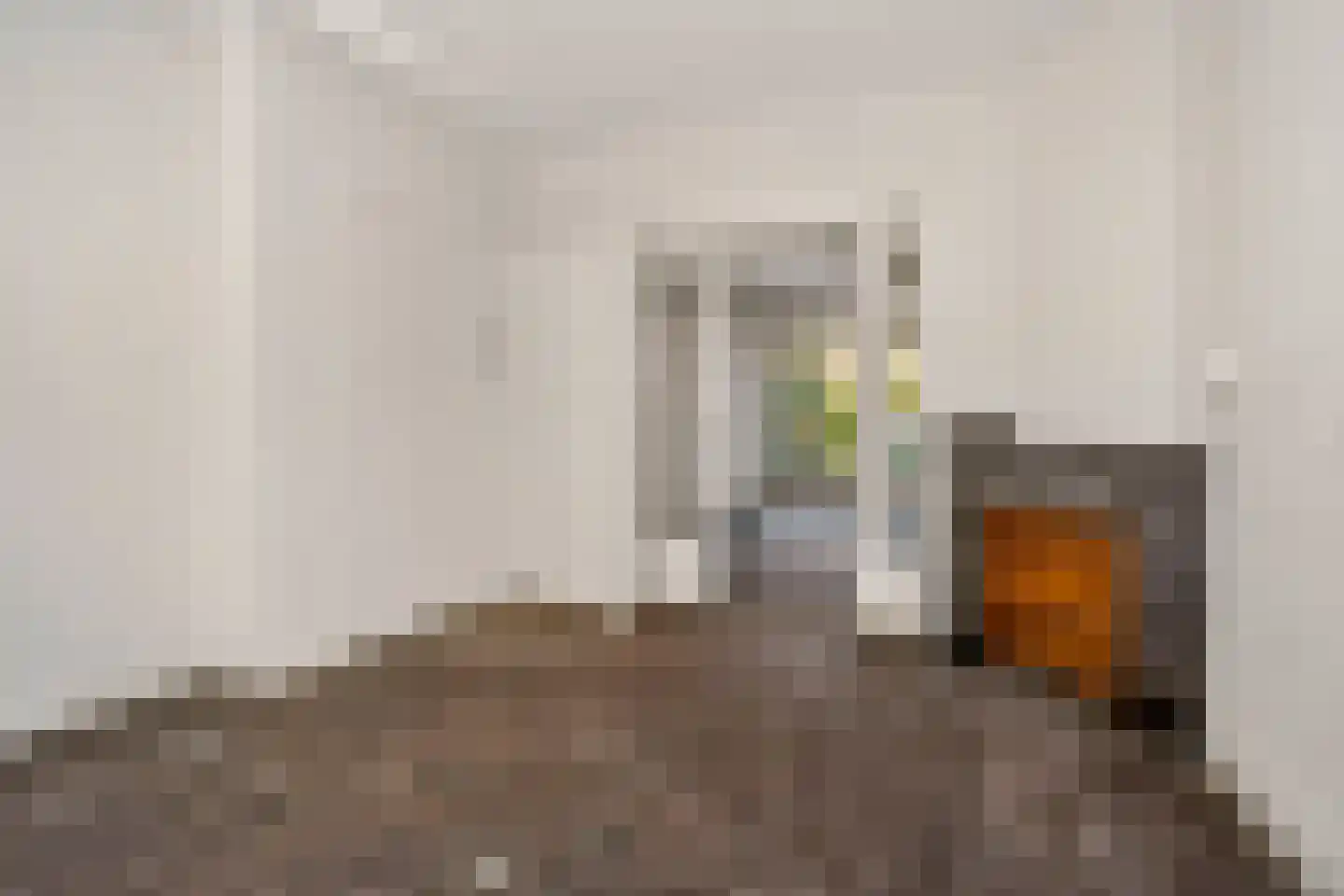 Regentesselaan 55 Utrecht thumbnail 6