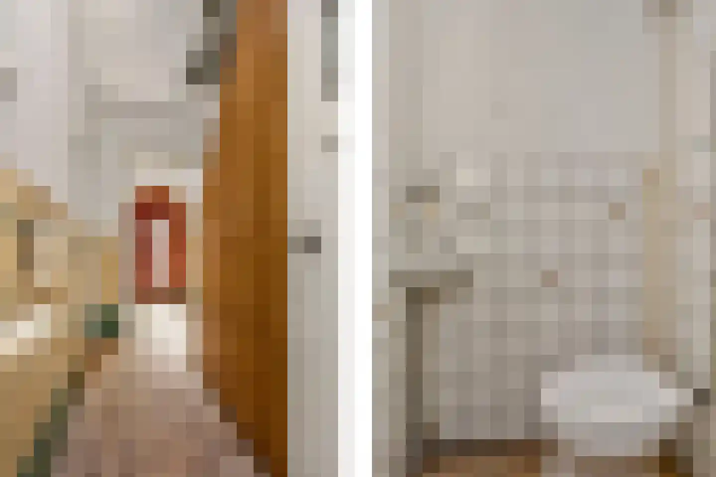 Regentesselaan 55 Utrecht thumbnail 8