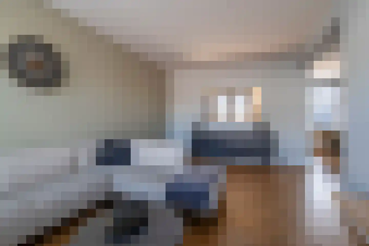 Regentesselaan 55 Veenendaal thumbnail 5
