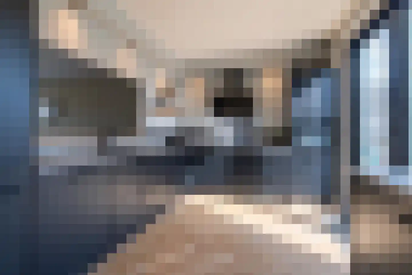 Regentesselaan 55 Veenendaal thumbnail 9