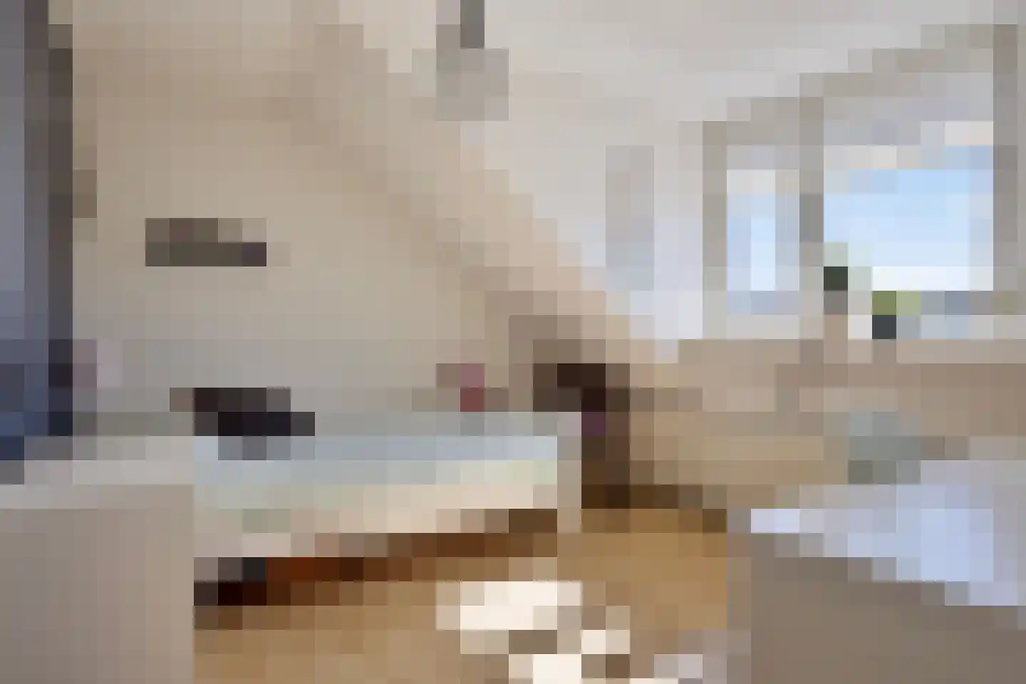Regentesselaan 57 Veenendaal thumbnail 30