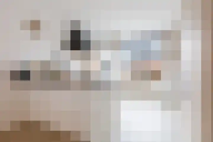 Regentesselaan 58 Heerenveen thumbnail 19