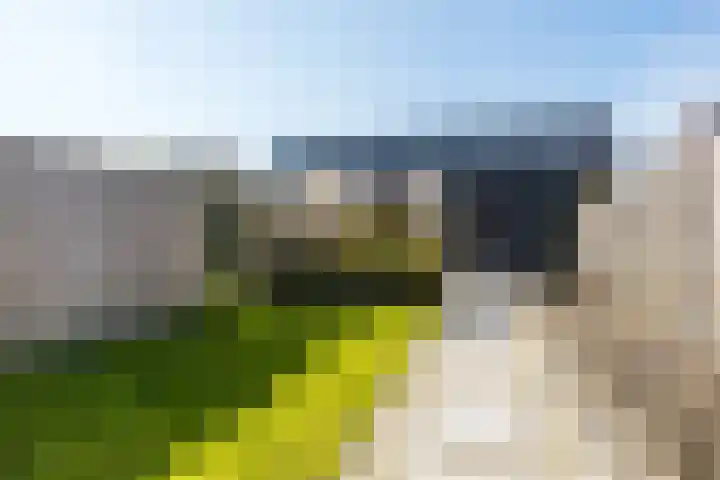 Regentesselaan 58 Heerenveen thumbnail 35