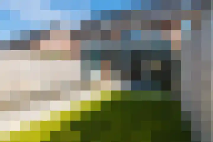 Regentesselaan 58 Heerenveen thumbnail 39