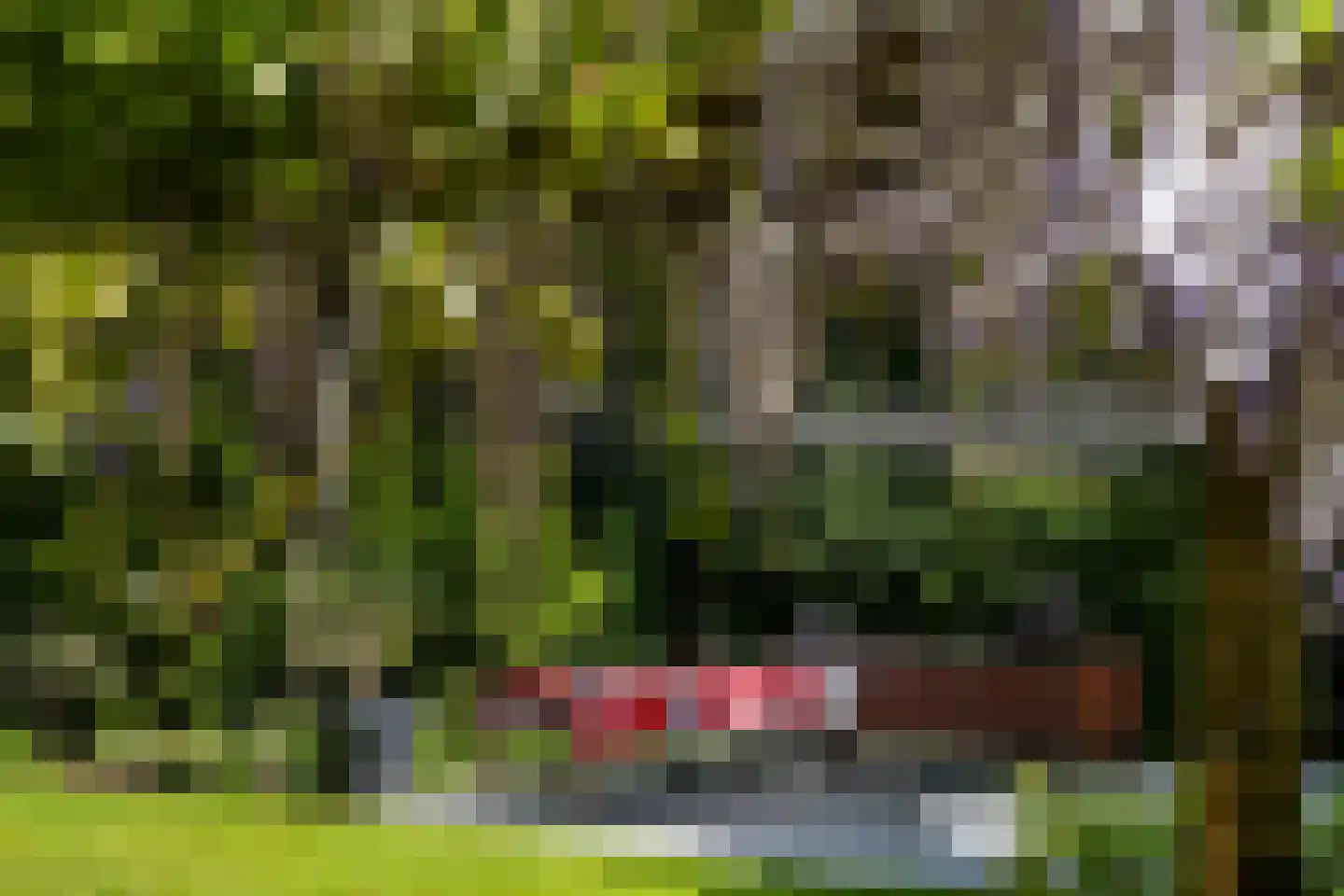 Regentesselaan 6 Hilversum thumbnail 10