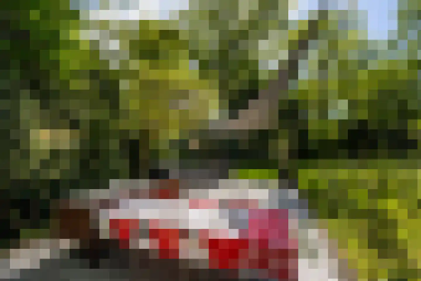 Regentesselaan 6 Hilversum thumbnail 11