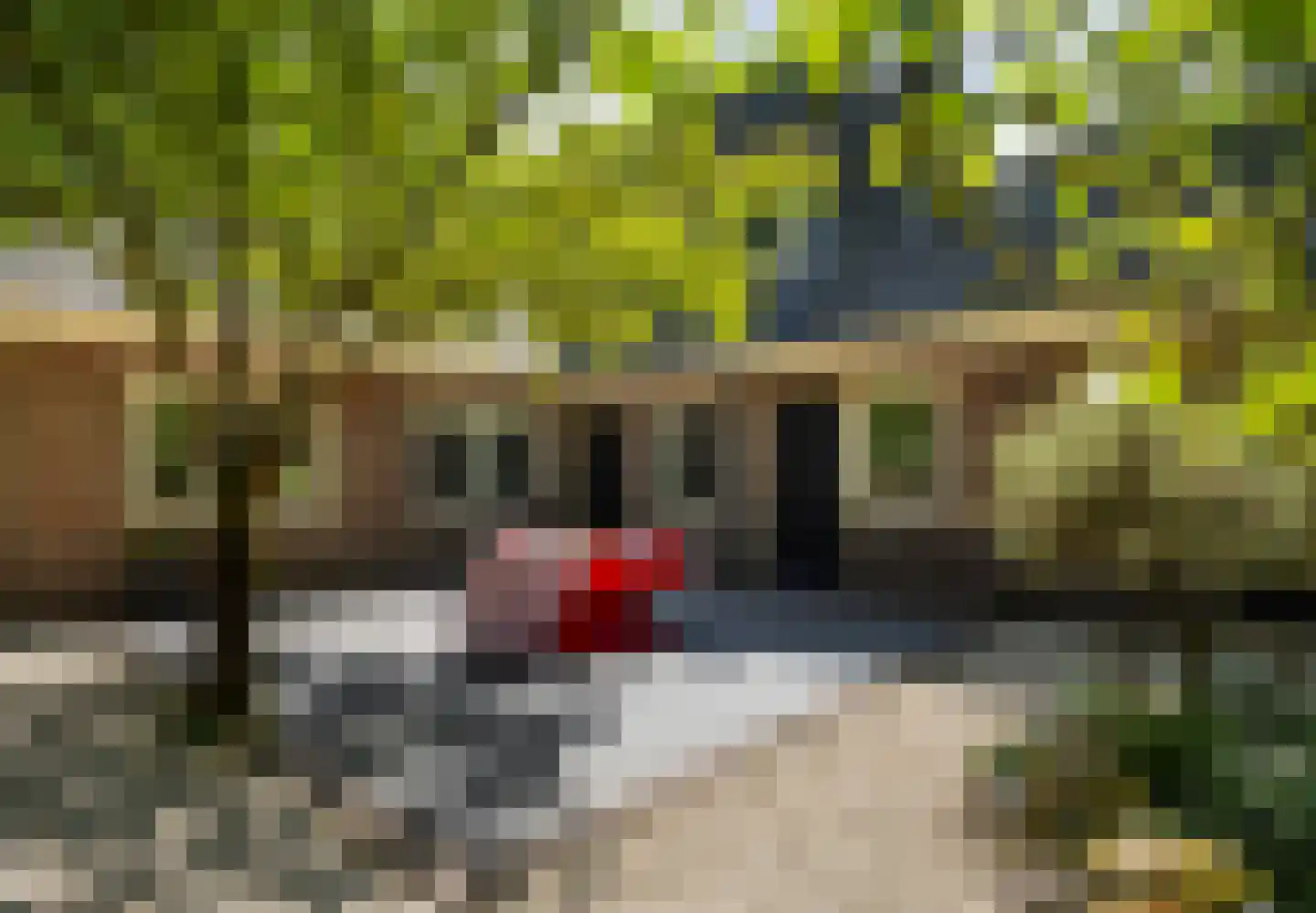 Regentesselaan 6 Hilversum thumbnail 13