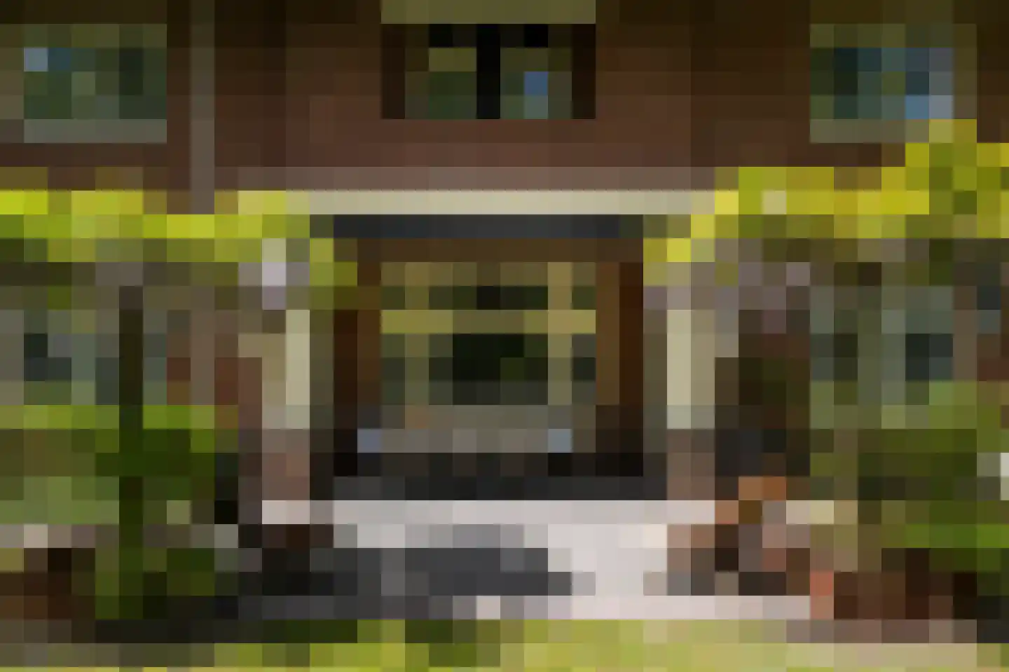 Regentesselaan 6 Hilversum thumbnail 18