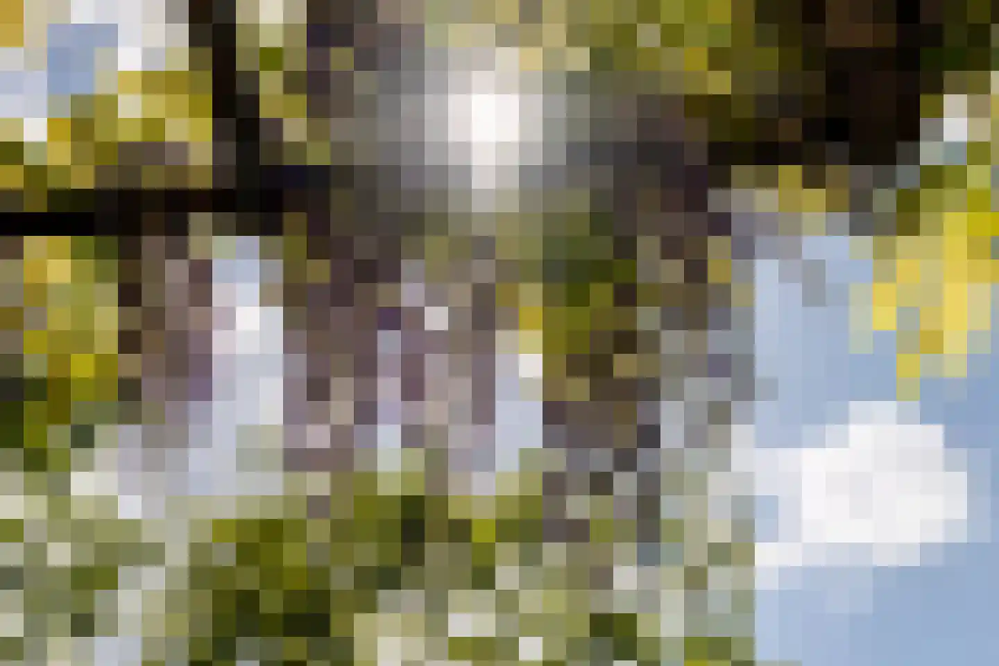 Regentesselaan 6 Hilversum thumbnail 20