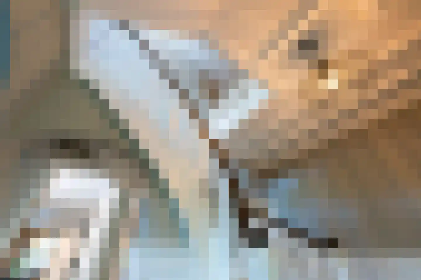 Regentesselaan 6 Hilversum thumbnail 30