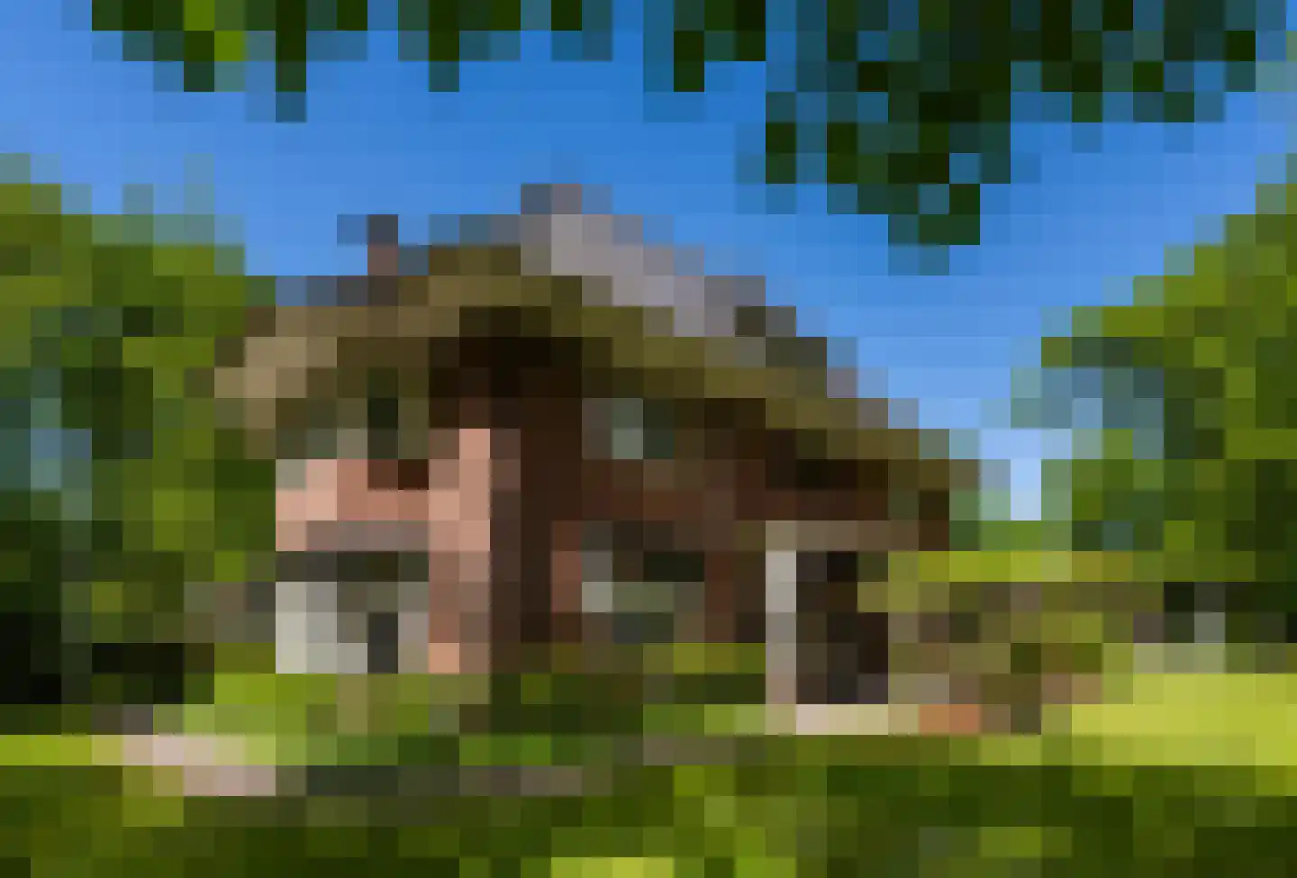 Regentesselaan 6 Hilversum thumbnail 4