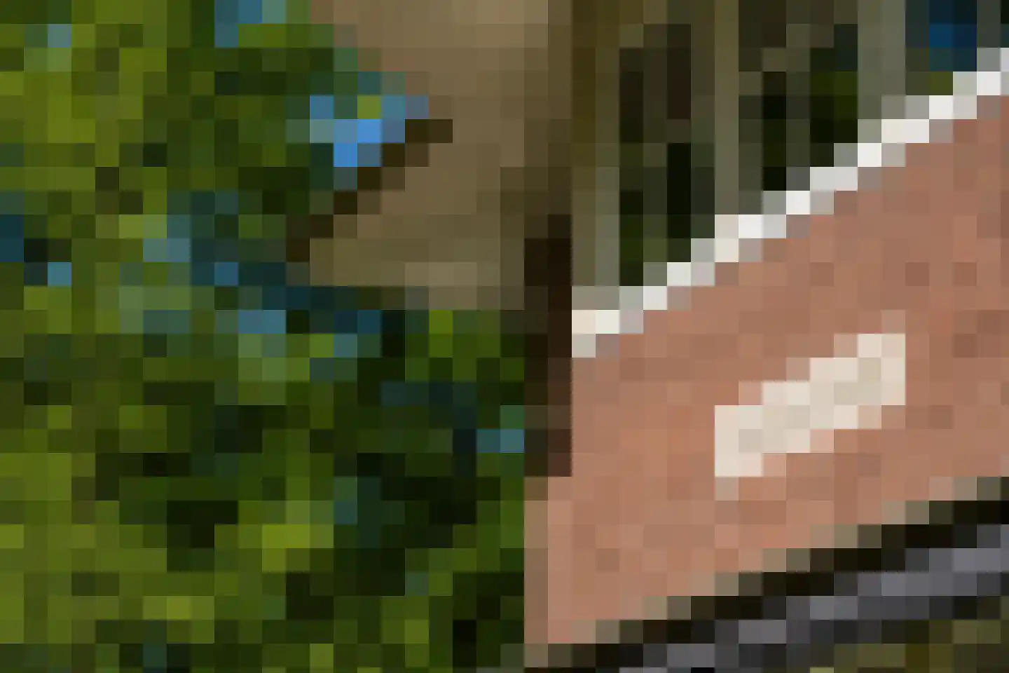 Regentesselaan 6 Hilversum thumbnail 7