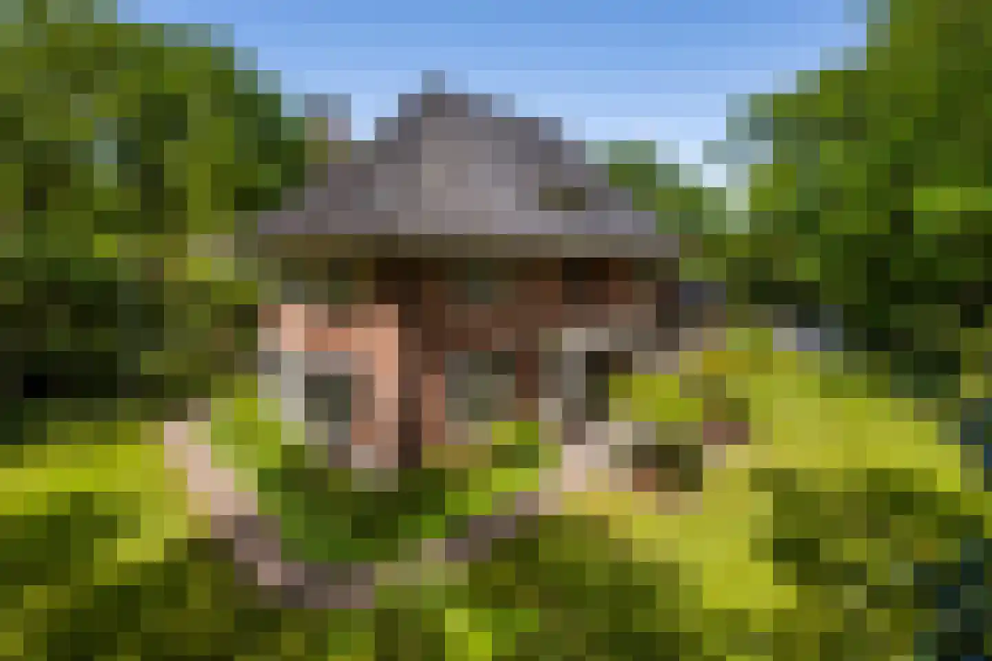 Regentesselaan 6 Hilversum thumbnail 8