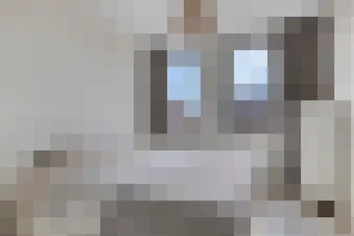 Regentesselaan 60 Heerenveen thumbnail 12