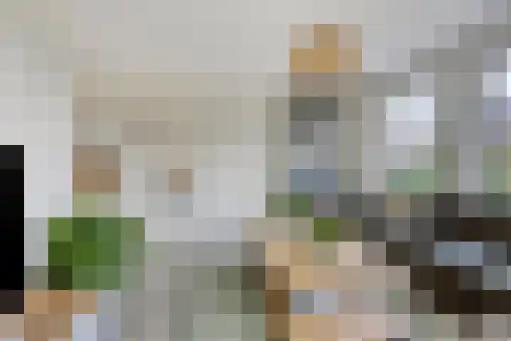 Regentesselaan 60 Heerenveen thumbnail 6