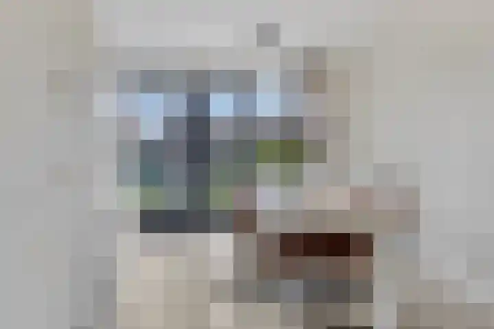 Regentesselaan 60 Heerenveen thumbnail 8