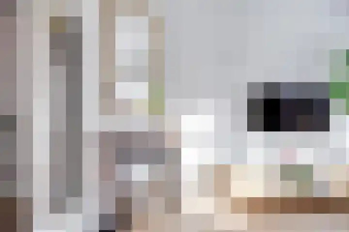 Regentesselaan 65 Utrecht thumbnail 11