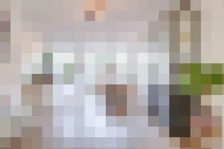 Regentesselaan 65 Utrecht thumbnail 19