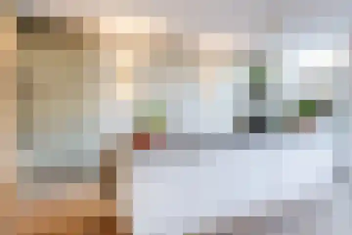 Regentesselaan 65 Utrecht thumbnail 23