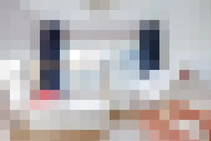 Regentesselaan 65 Utrecht thumbnail 54