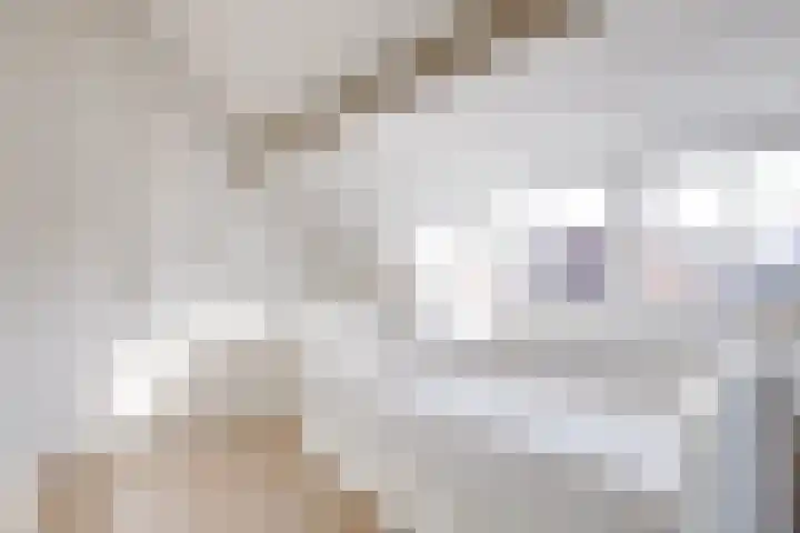 Regentesselaan 65 Utrecht thumbnail 70