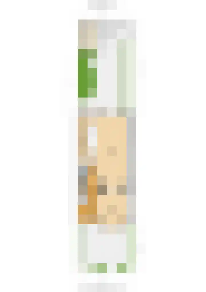 Regentesselaan 65 Utrecht thumbnail 76