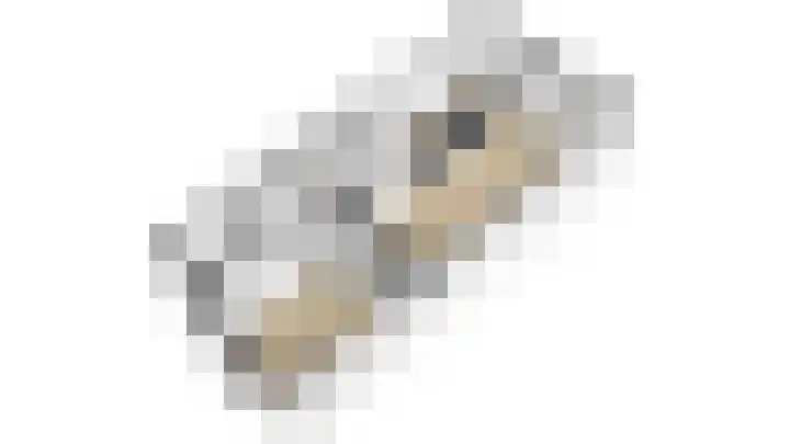 Regentesselaan 65 Utrecht thumbnail 81