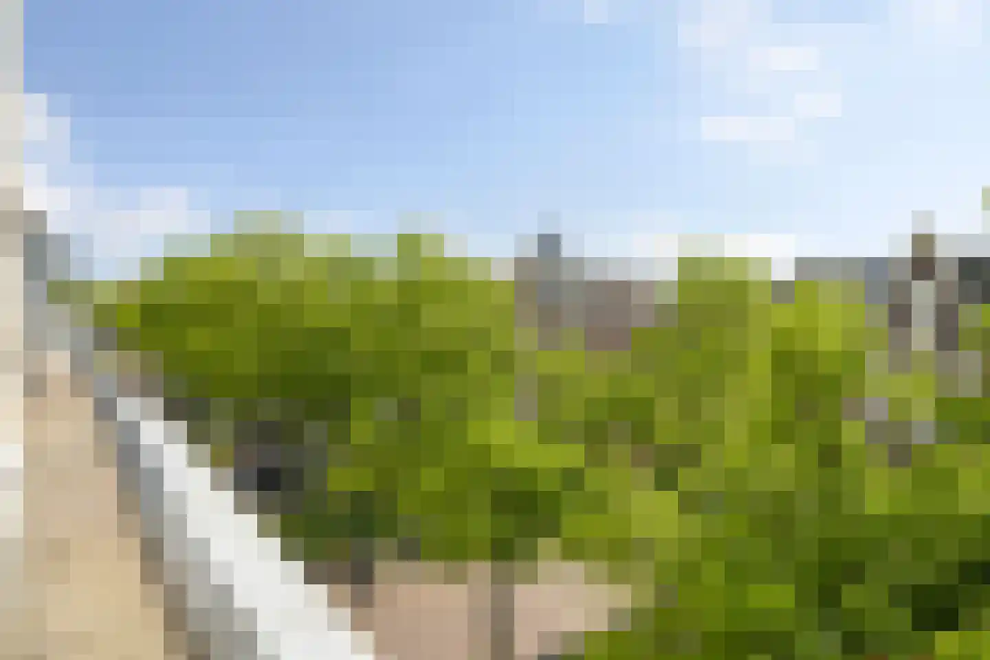 Regentesselaan 74 C Den Haag thumbnail 18