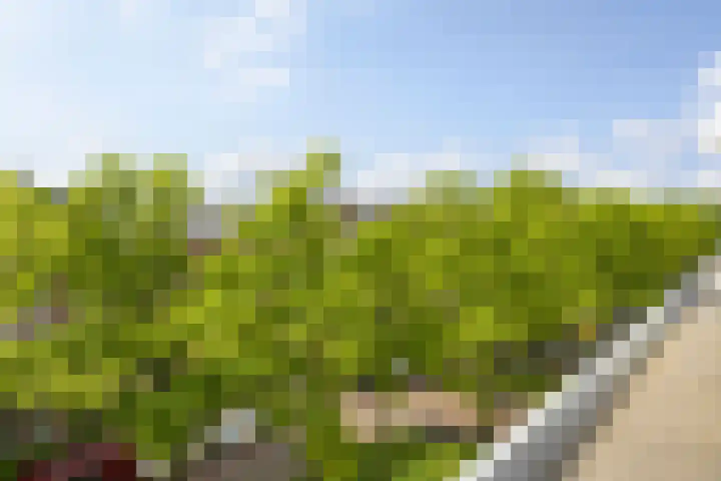 Regentesselaan 74 C Den Haag thumbnail 19