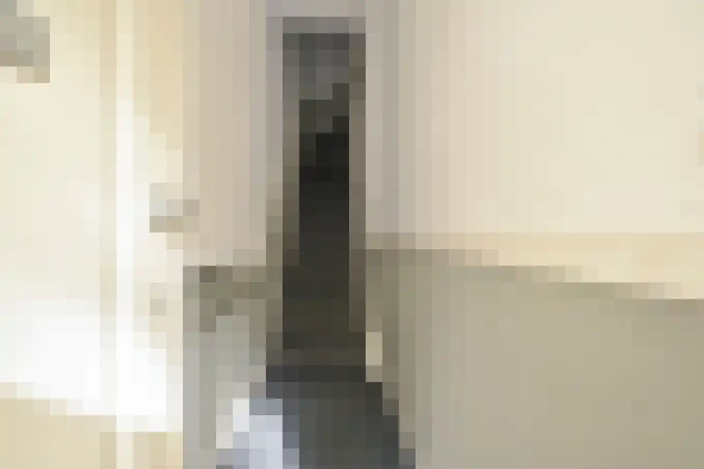 Regentesselaan 74 C Den Haag thumbnail 4
