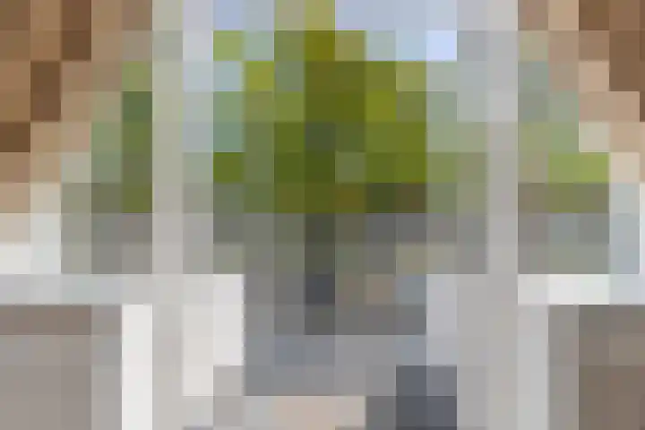 Regentesselaan 89 Rijswijk thumbnail 22