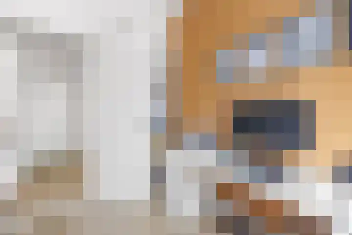 Regentesselaan 89 Rijswijk thumbnail 25
