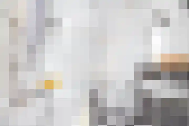Regentesselaan 89 Rijswijk thumbnail 39