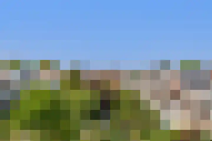 Regentesselaan 89 Rijswijk thumbnail 43