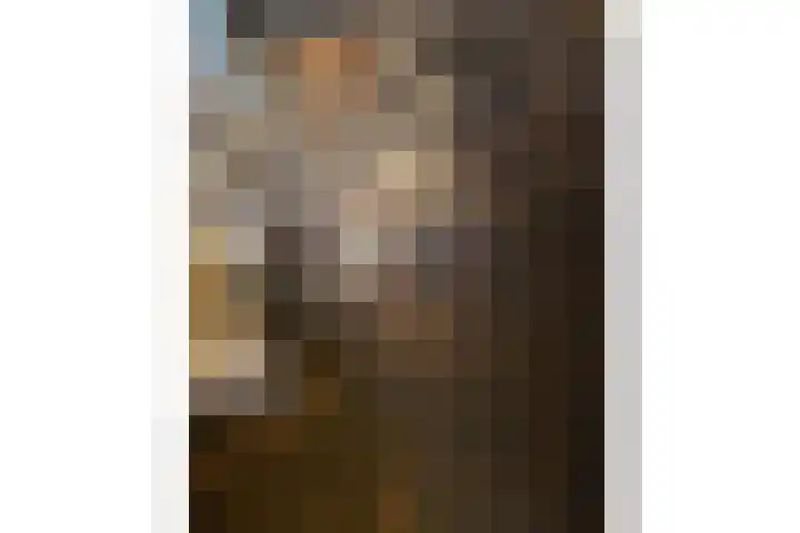 Regentesselaan 89 Rijswijk thumbnail 8