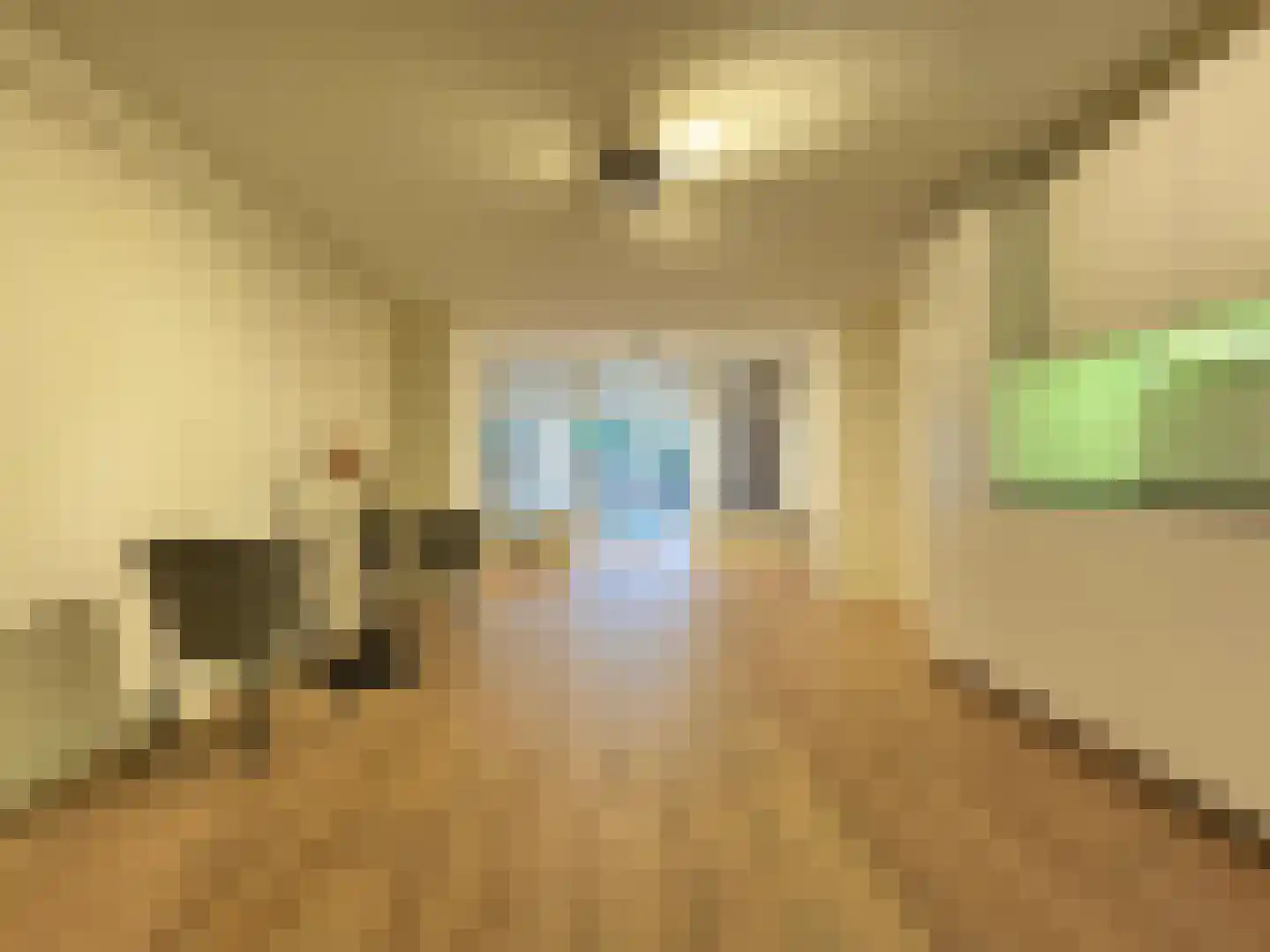 Regentesselaan 9 1 Den Haag thumbnail 11