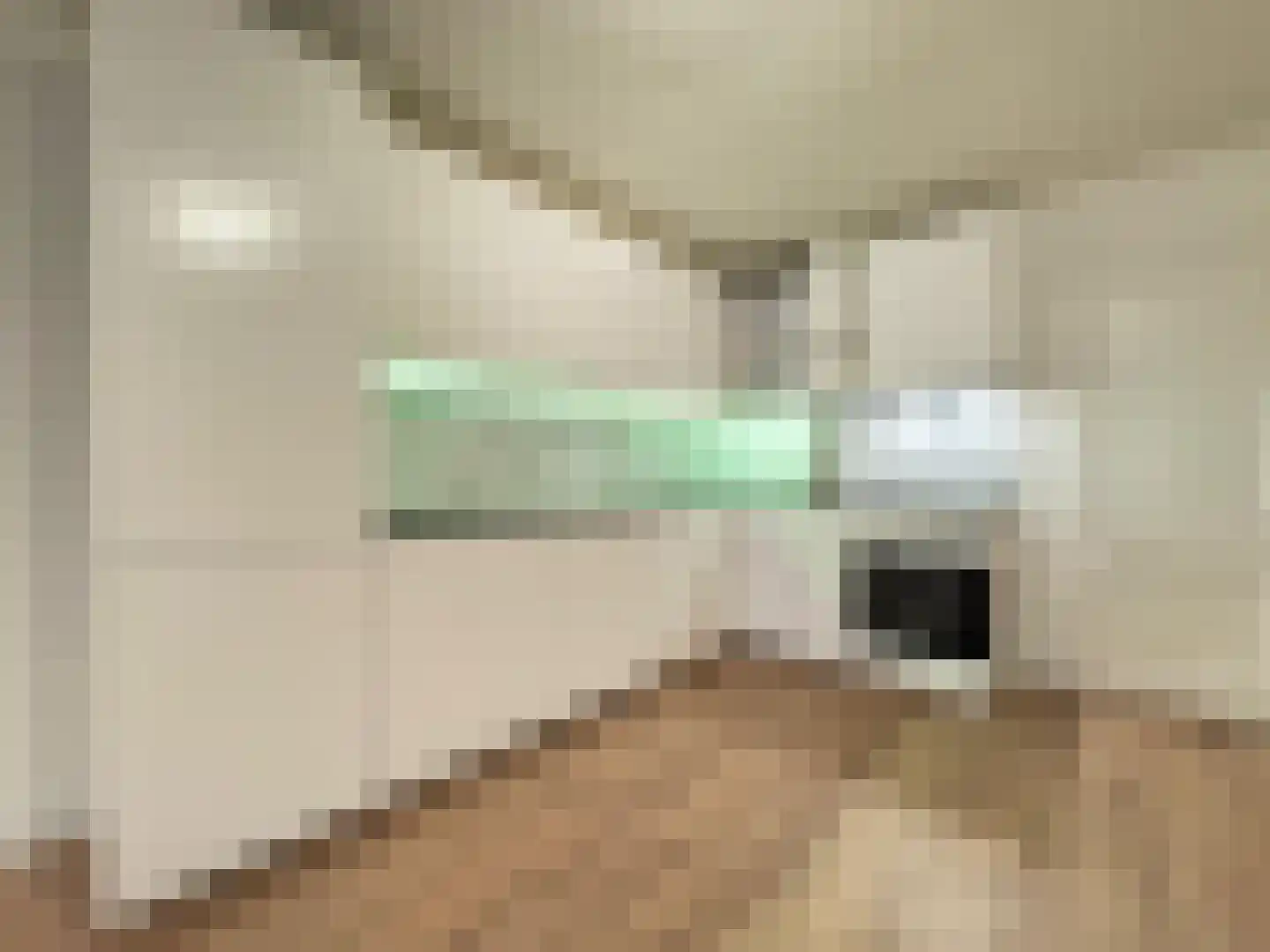 Regentesselaan 9 1 Den Haag thumbnail 16
