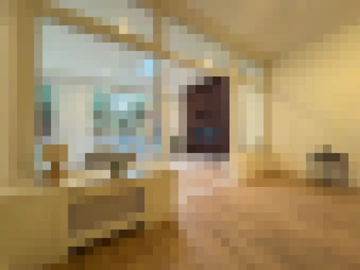 Regentesselaan 9 1 Den Haag thumbnail 18