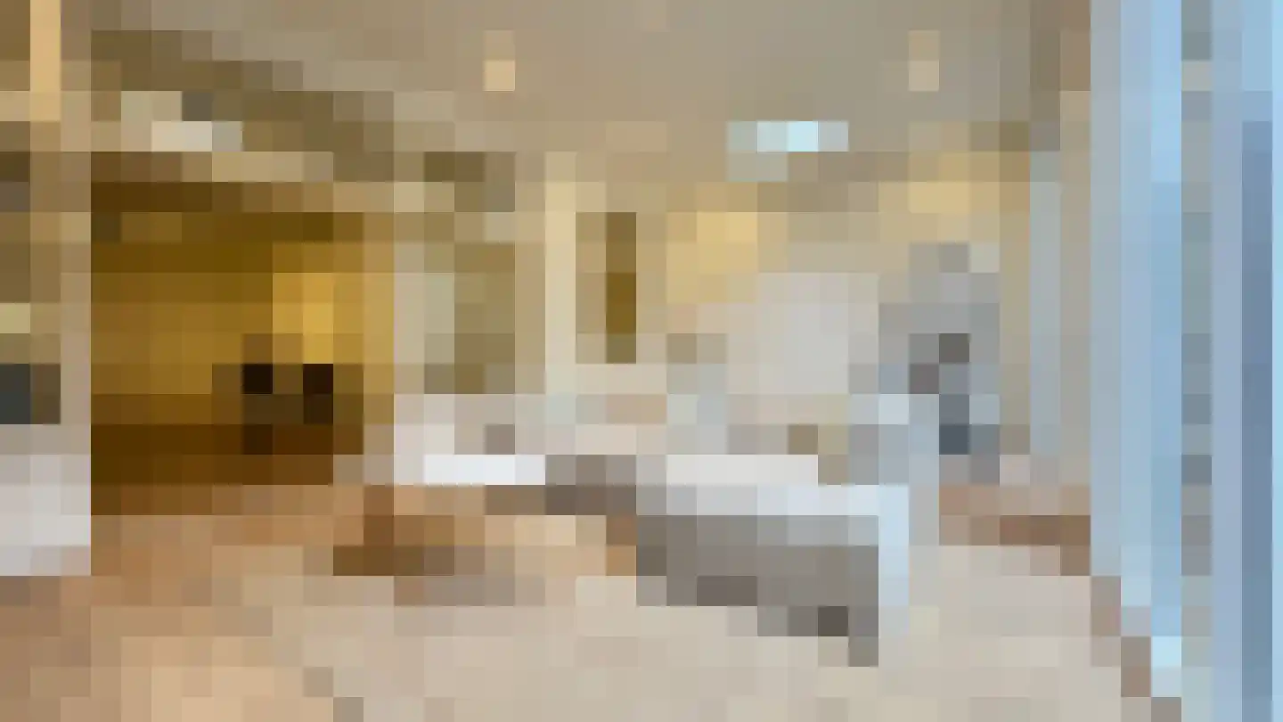Regentesselaan 9 1 Den Haag thumbnail 22