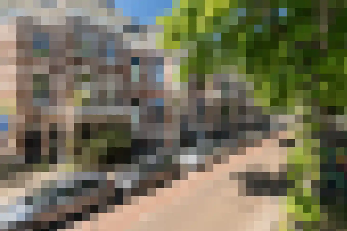 Regentesselaan 9 20 Den Haag thumbnail 15