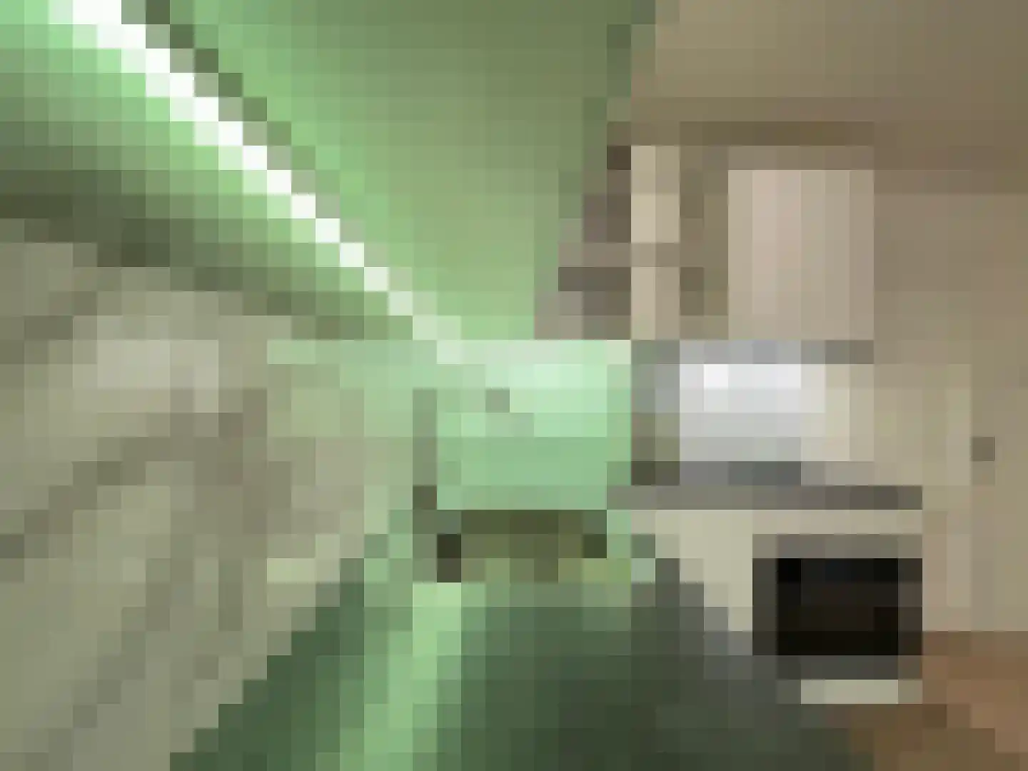 Regentesselaan 9 3 Den Haag thumbnail 14