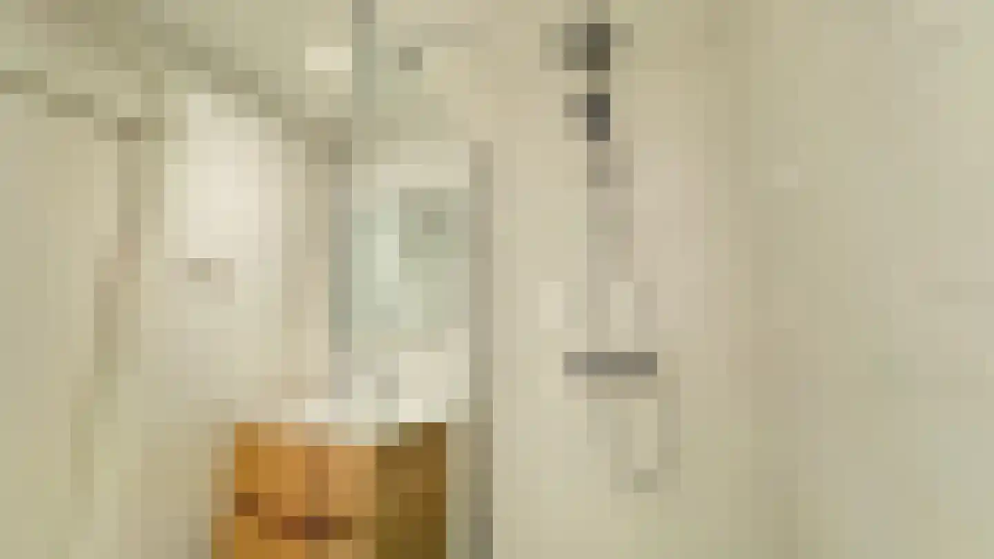 Regentesselaan 9 3 Den Haag thumbnail 35