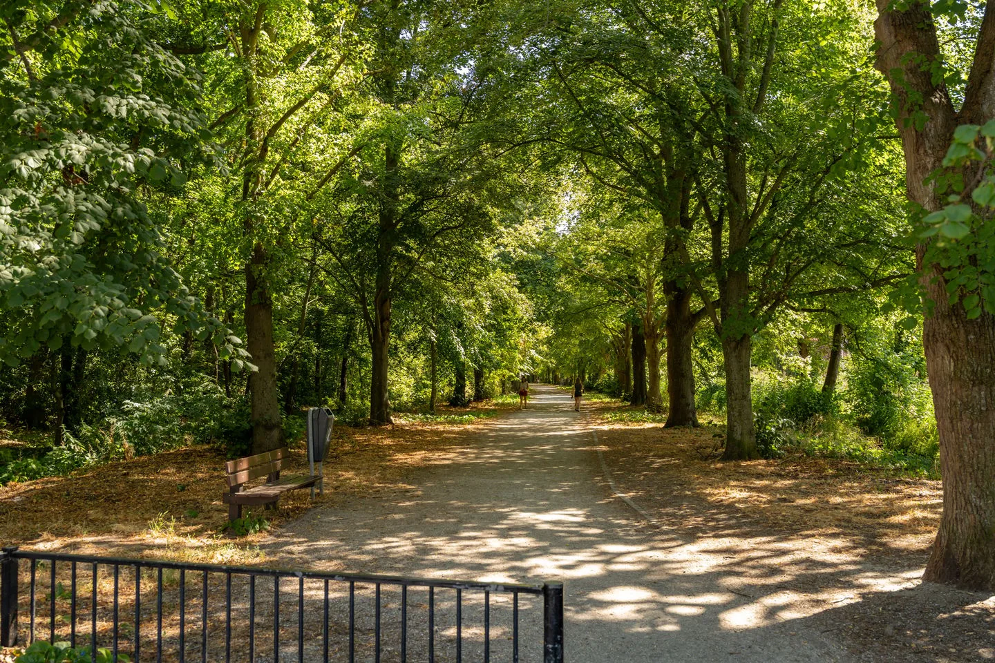 Regentesselaan 9 Oegstgeest thumbnail 49