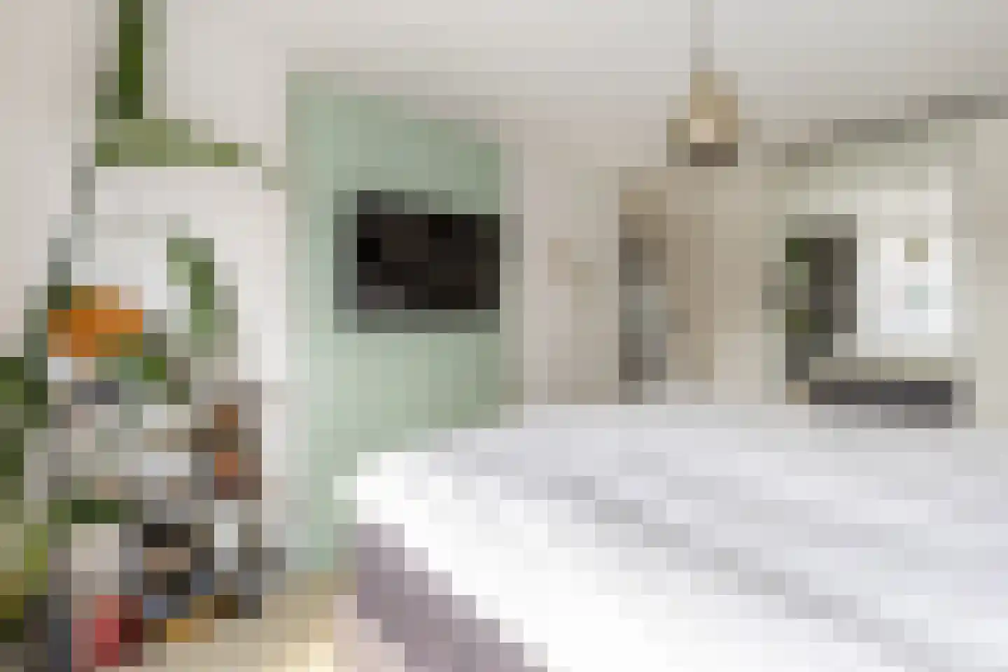 Regentessenlaan 2 Oostvoorne thumbnail 17