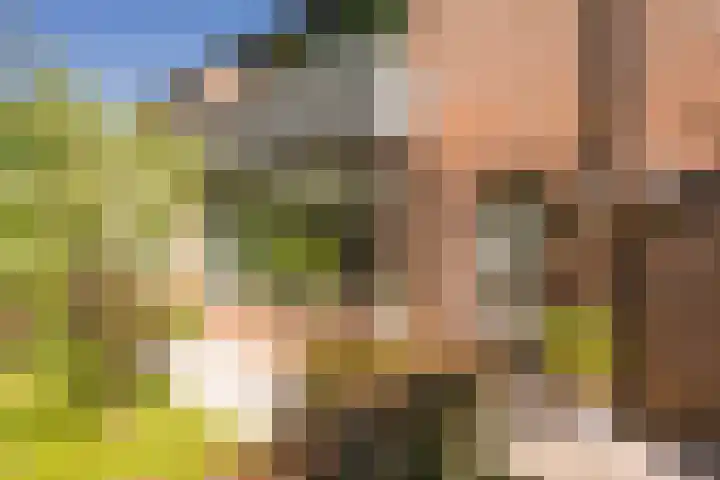Regentessepad 2 Hoevelaken thumbnail 12