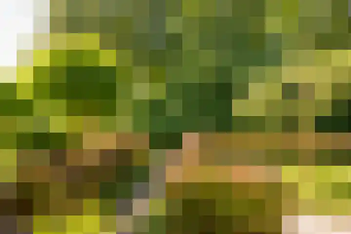 Regentessepad 2 Hoevelaken thumbnail 6