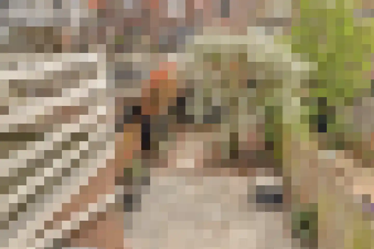 Regentesseplantsoen 13 Gouda thumbnail 42